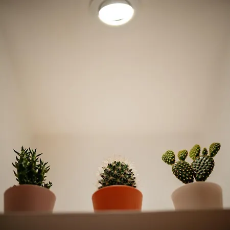 Giulia And Giada's House Διαμέρισμα *