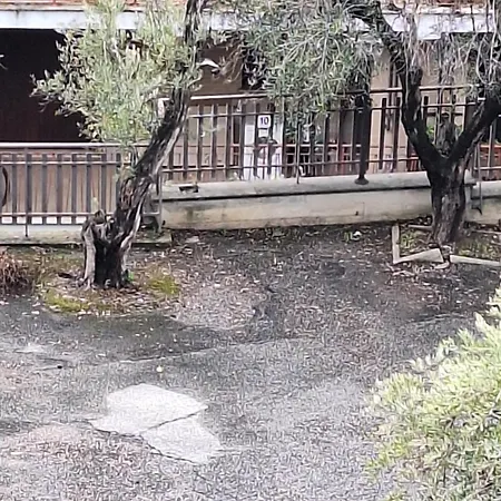Διαμέρισμα Giulia And Giada's House