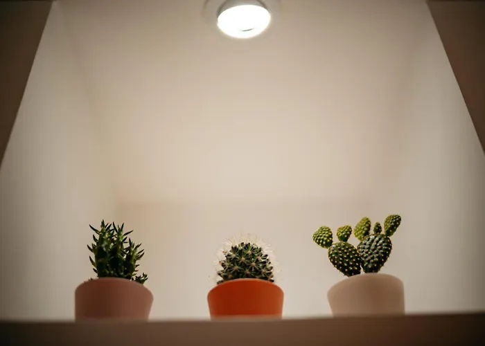 Giulia And Giada's House Apartment *